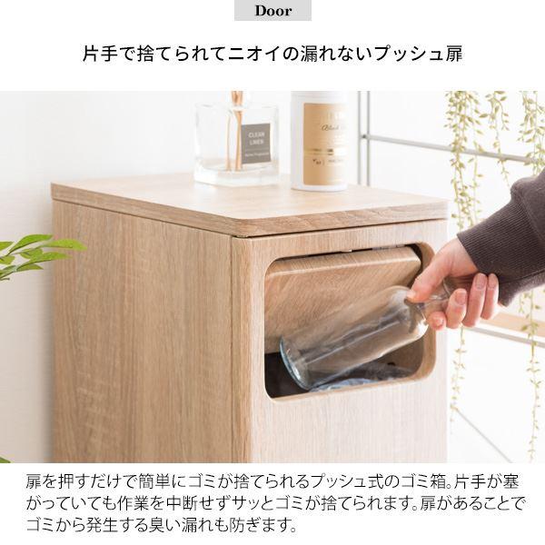 宮武製作所 MIYATAKE ゴミ箱 20L×2 プッシュ式 木製 2段ダストボックス