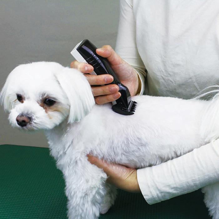 ドギーマン ドギーマンハヤシ ホームバーバープロフェッショナル