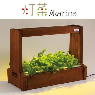 オリンピア照明 灯菜 アカリーナ LED照明水耕栽培器 【公式通販】