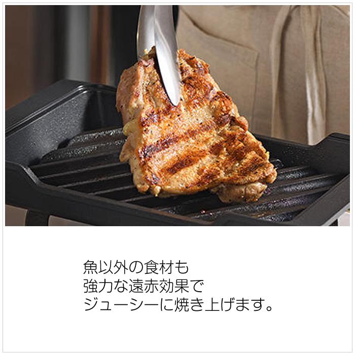 大人の鉄板 オークス 魚焼き器 炭グリル OTS8010 : PCあきんど - 通販