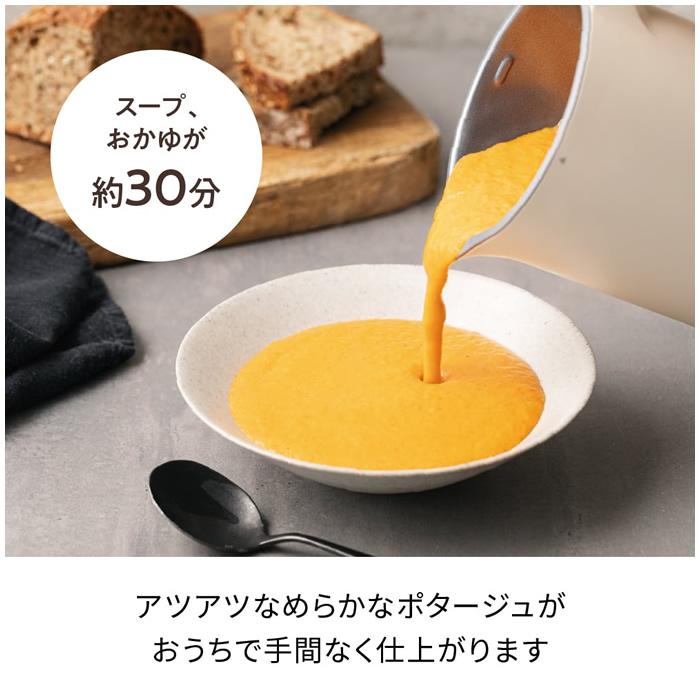 recolte（レコルト） 自動調理ポット Auto Cooking Pot RSY-2-W
