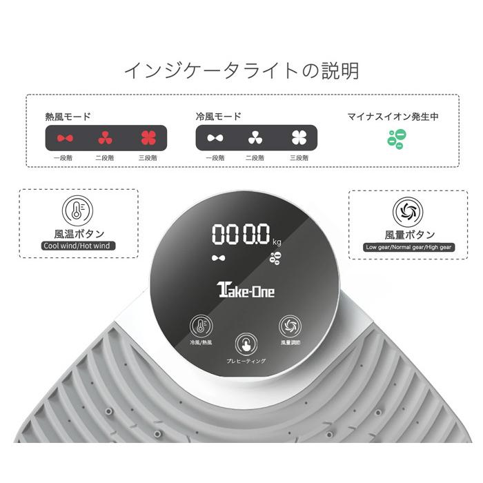 BodyDryer Plus ボディードライヤー プラス TBD01 冷風 温風