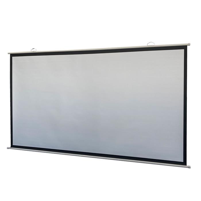 ウィズ(オーディオ) ダイニチ電子 Wizz 100インチ壁掛けタイプ