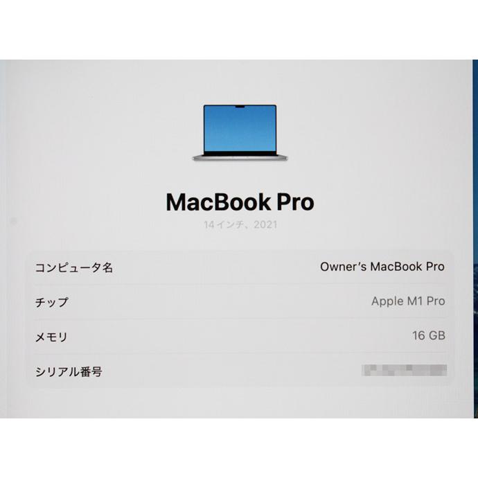 Apple Macbook Pro 14-inch,2021 MKGT3J/A A2442 シルバー M1 Pro 10コア搭載 メモリ 16GB SSD 1TB Aランク H21H 中古の画像