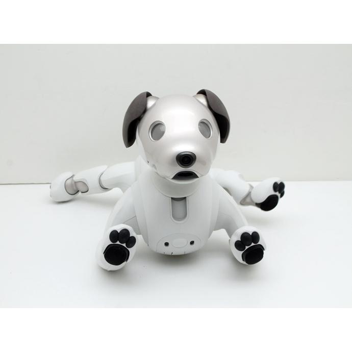 aibo SONY ERS-1000 アイボ AIロボット 犬型ロボット ペットロボット
