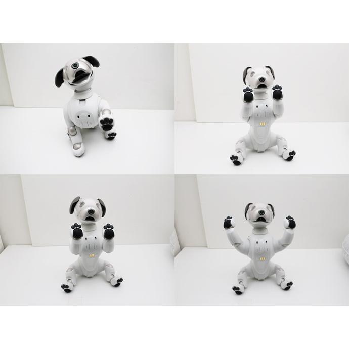aibo SONY ERS-1000 アイボ AIロボット 犬型ロボット ペットロボット