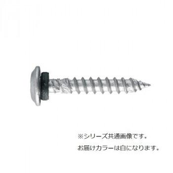 ステンレス　板金パッキンビス　角ボックス　500本入　角ボックス　27mm　白　500本入　板金パッキンビス　白　PS027SW[検索用キーワード＝ステンレス　27mm　PS027SW]