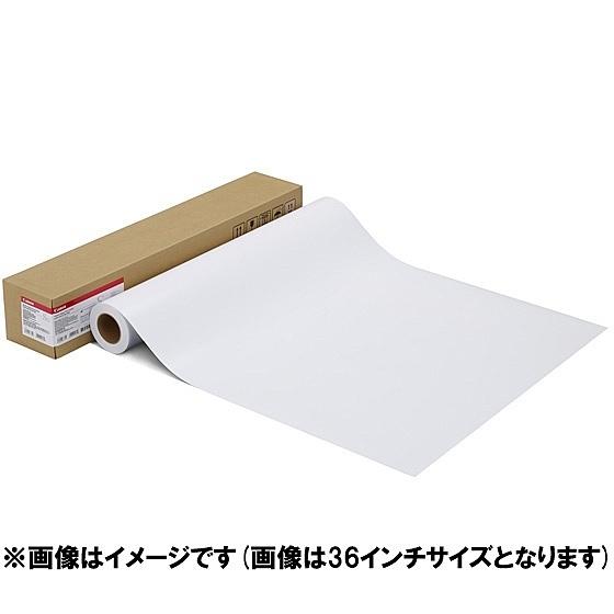 Canon 1108C004 写真用紙 微粒面光沢 ラスター LFM-SGLU/ 17/ 260