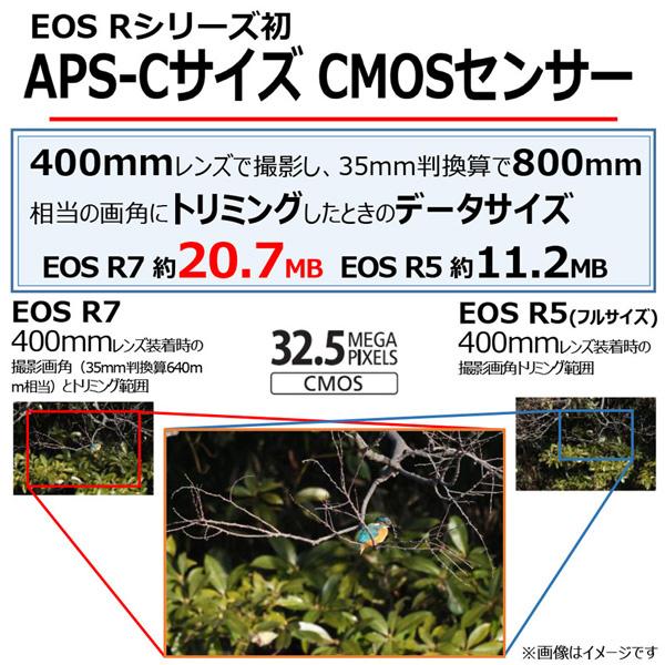 Canon 5137C001 ミラーレスカメラ EOS R7・ボディー｜pc-express｜10
