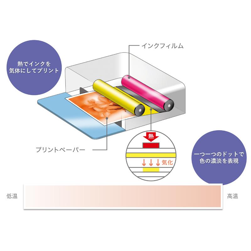 Canon 5540C001 コンパクトフォトプリンター セルフィー CP1500 （ホワイト）