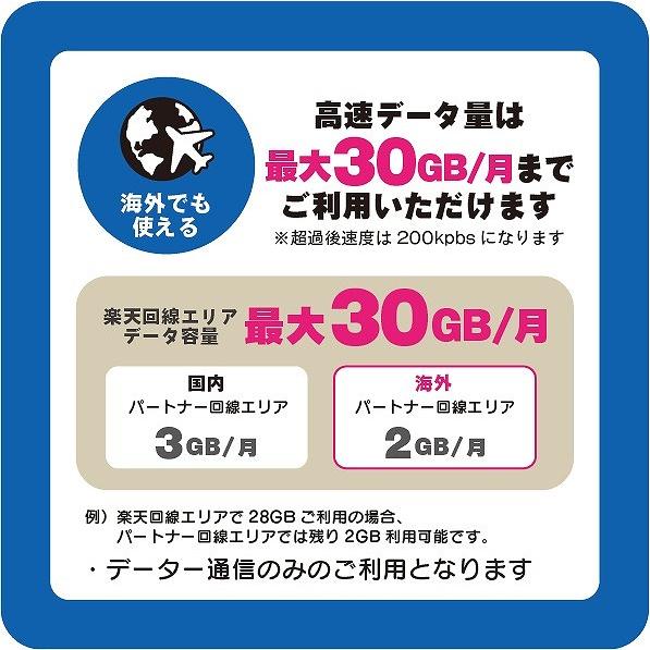 モバイル・プランニング 202306013012 楽天プリペイドSIM　毎月30GB　初月＋12ヶ月　SMS受信可｜pc-express｜06