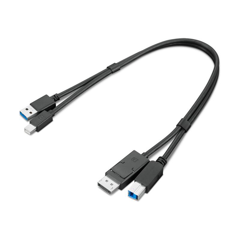 レノボ・ジャパン 4X91D11453 ThinkStation Mini-DisplayPort/ USB Type-A3.0 - DisplayPort/ USB Type-B3.0 変換アダプター｜pc-express