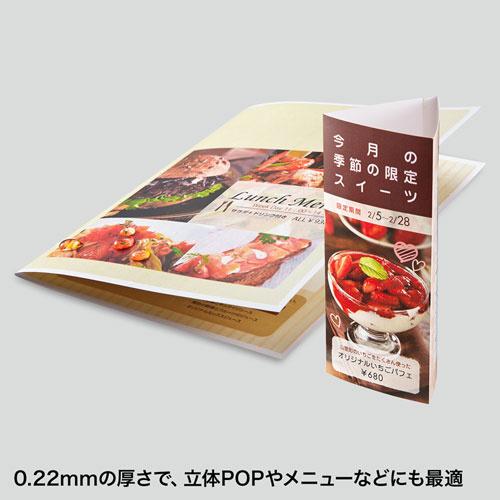 サンワサプライ LBP-WPF22MDPN カラーレーザー用耐水紙（特厚・A4）｜pc-express｜03