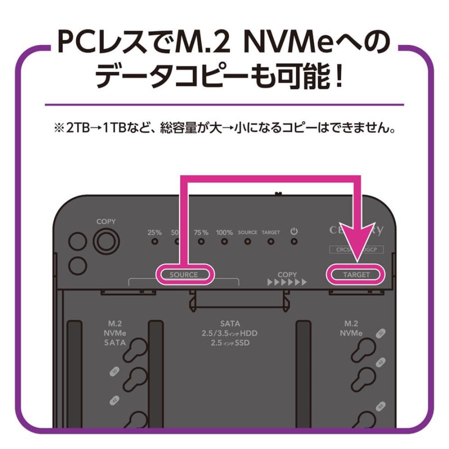 CENTURY 裸族のどれで〜もステーション&クローン(CRCSNSU10GCP) 外付け
