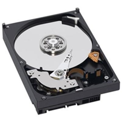 Western Digital WD10EZEX [1TB/3.5インチ内蔵ハードディスク Western Digital WD10EZEX [1TB/3.5インチ内蔵ハードディスク