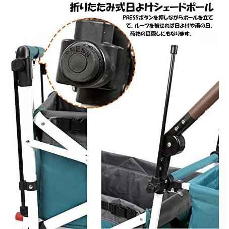 CROTEC WAGON(クロテックワゴン) クロテックワゴン レッド 1か月~ CT