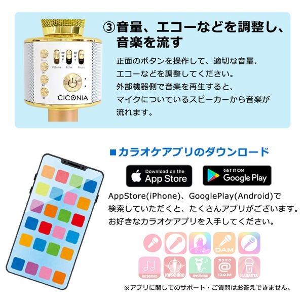 21年激安 Ciconia カラオケミュージックマイク Wmp 002 Pg ピンクゴールド その他オーディオ機器アクセサリー Portal Mph Cl