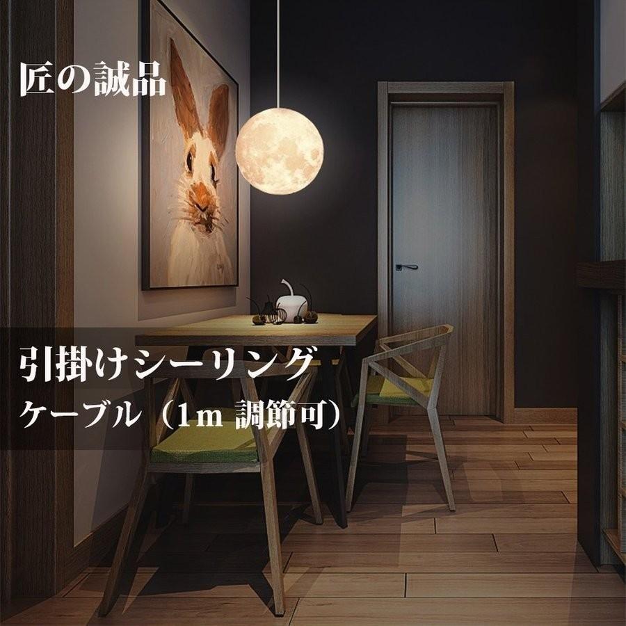 匠の誠品 月のライト 照明 屋内インテリア照明 ペンダントライト