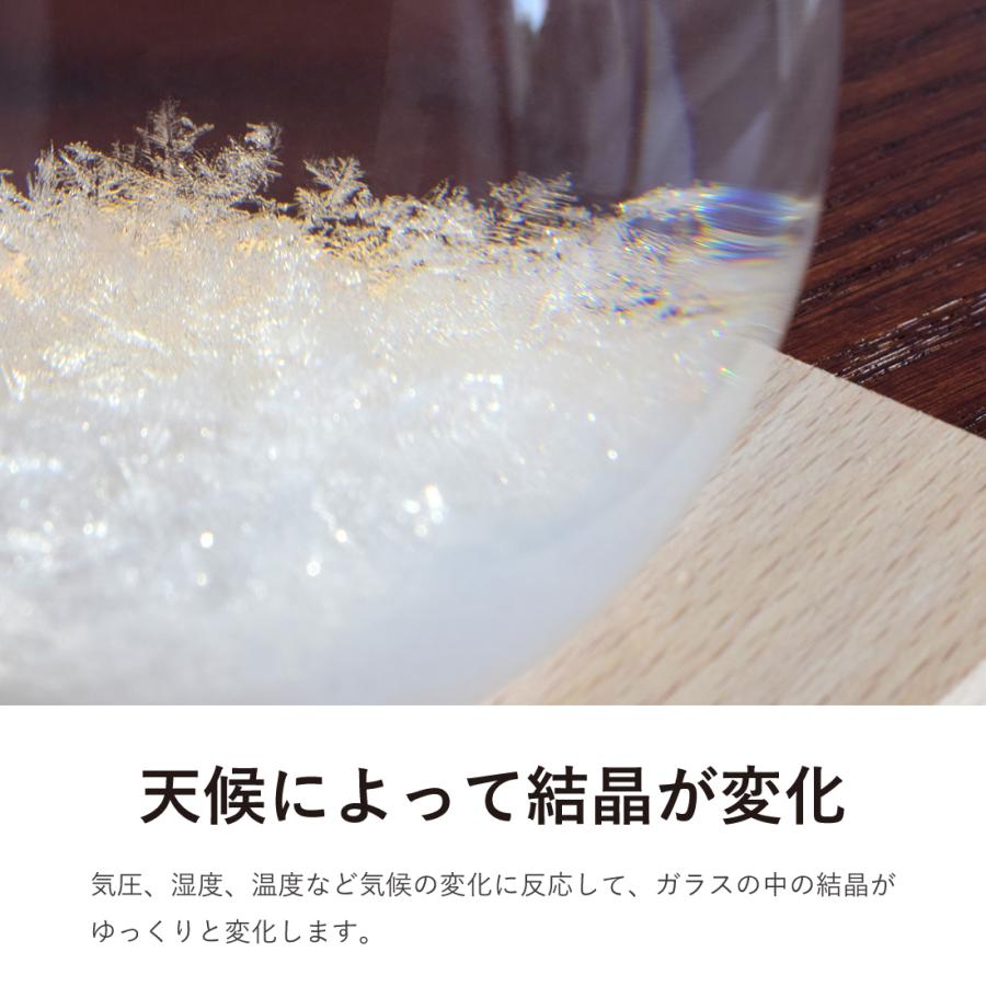 ストームグラス ガラス天気予報ボトル ストーム瓶 Large 気象予報 結晶