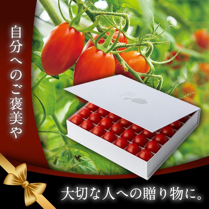 はちみつとまと新品　未開封　Ｑフューズ　アンフレーバー、Qアーマー 冷蔵][直送5]糖度12 国産 OSMIC FIRST QUEEN フルーツトマト 約450g