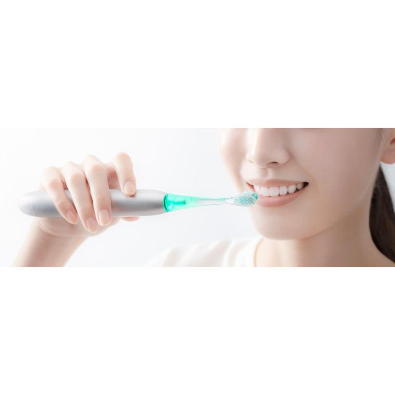 Panasonic EW-DT88-K ドルツ　電動歯ブラシ 電動歯ブラシ パナソニック W音波振動ハブラシ スマート ドルツ