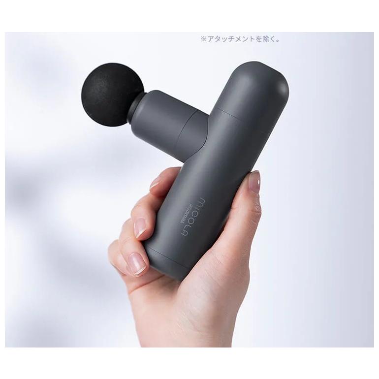 IRIS OHYAMA（アイリスオーヤマ） MiCOLA ビューティーケアガン FRT