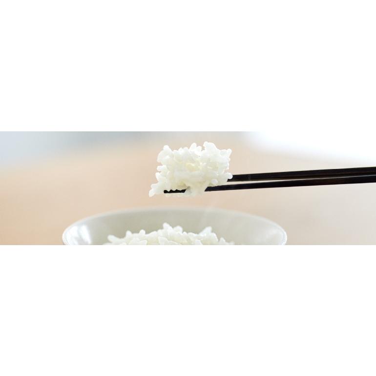 パナソニック 圧力IH 炊飯器 SR-M10B おどり炊き 白 5.5合　美品 可変圧力IHジャー炊飯器 おどり炊き ホワイト SR-M10B-W [5.5合 /圧力