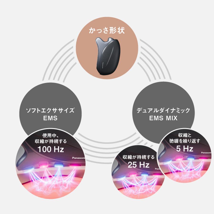 Panasonic（パナソニック） リフトケア☆美顔器 バイタリフト かっさ