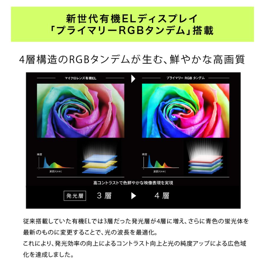 VIERA パナソニック テレビ 有機ELテレビ 55型 TV-55Z95B 55インチ