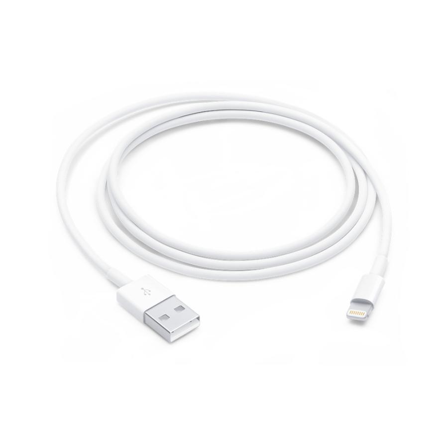 Apple純正】 5W USB電源アダプタ & Lightningケーブル iPhone充電 