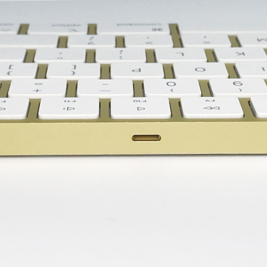 Apple Apple純正 MagicKeyboard USキー A2520 テンキー付 と Apple Apple純正 MagicKeyboard USキー A2520 テンキー付 と
