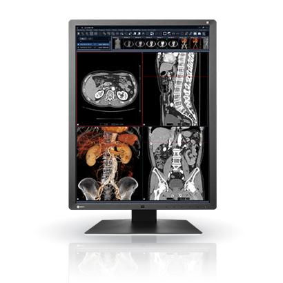 EIZO EIZO RadiForce RX250 縦型 21.3インチ ワイド モニタ IPS 21.3型