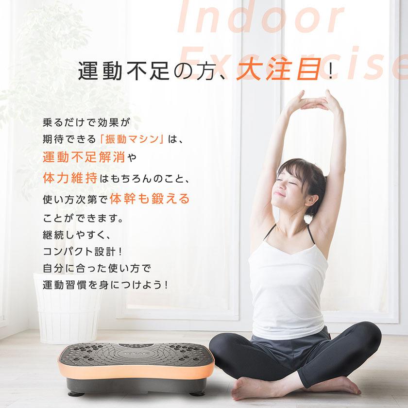 振動マシン 効果 ミニ 静音 3Dマット シェイカー式 コンパクト 運動