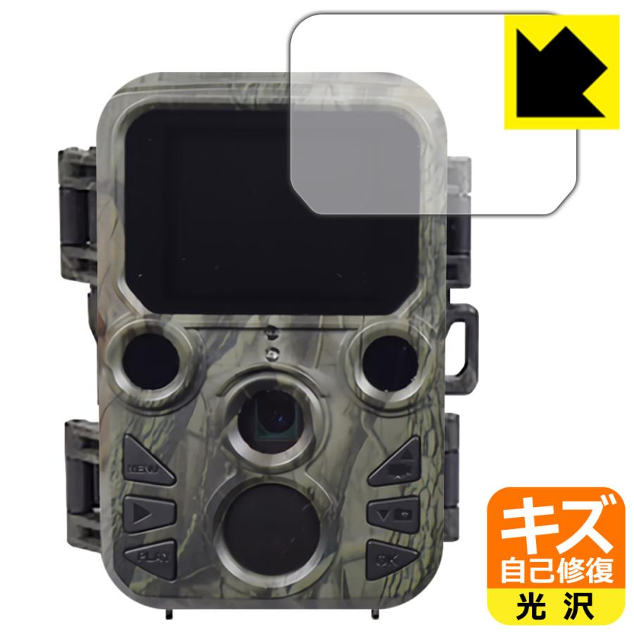 SIGHTRON 赤外線無人撮影カメラ・ミニ STR-MiNi300 自然に付いて