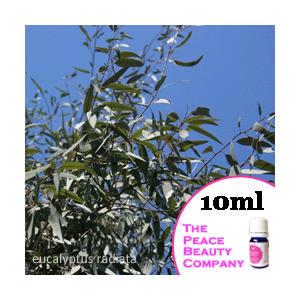 品質保証 ユーカリラディアータ 精油 10ml エッセンシャルオイル アロマオイル