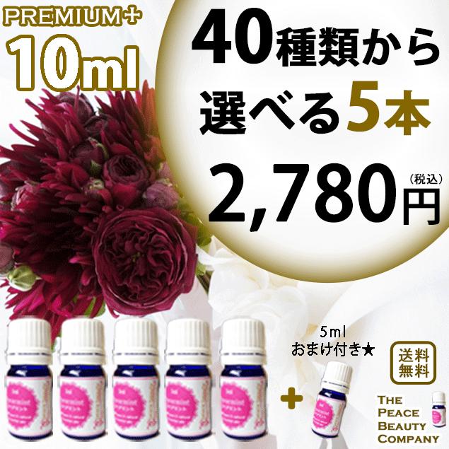 アロマオイル セット 選べる 6本 10ml エッセンシャルオイル 精油 Pp 142ej003 Peace Beauty 通販 Yahoo ショッピング