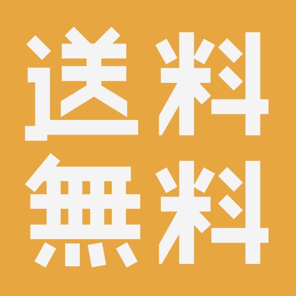 ノバライフ1 TRE コンベックス マキシ 10枚/箱 304259 304159 非課税