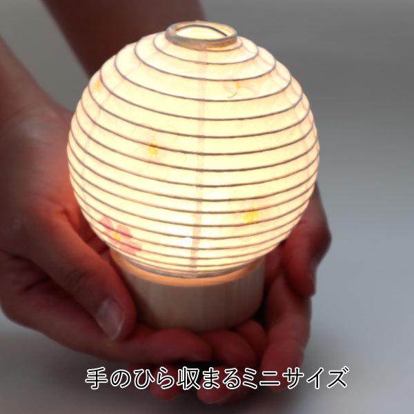 ペット お盆 セット お迎えセット(1) さくら提灯+クリスタル精霊