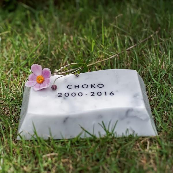 ペット墓石 Petcoti 波石 ホワイト M 墓石プレート お墓 庭 屋外 石版 ビアンコカラーラ 高級大理石 高級大理石