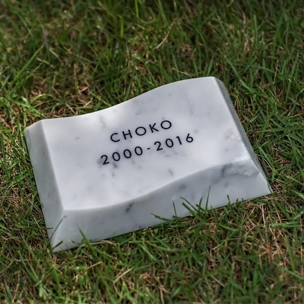 ペット墓石 Petcoti 波石 ホワイト M 墓石プレート お墓 庭 屋外 石版 ビアンコカラーラ 高級大理石 高級大理石