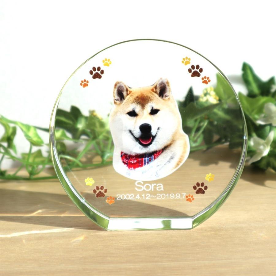 半額品 ペット位牌 クリスタルガラス カラー印刷 サークルスタンド Ll 12ｃｍ 名入れ メッセージ 犬 猫 爆安プライス Kwsrbd Com