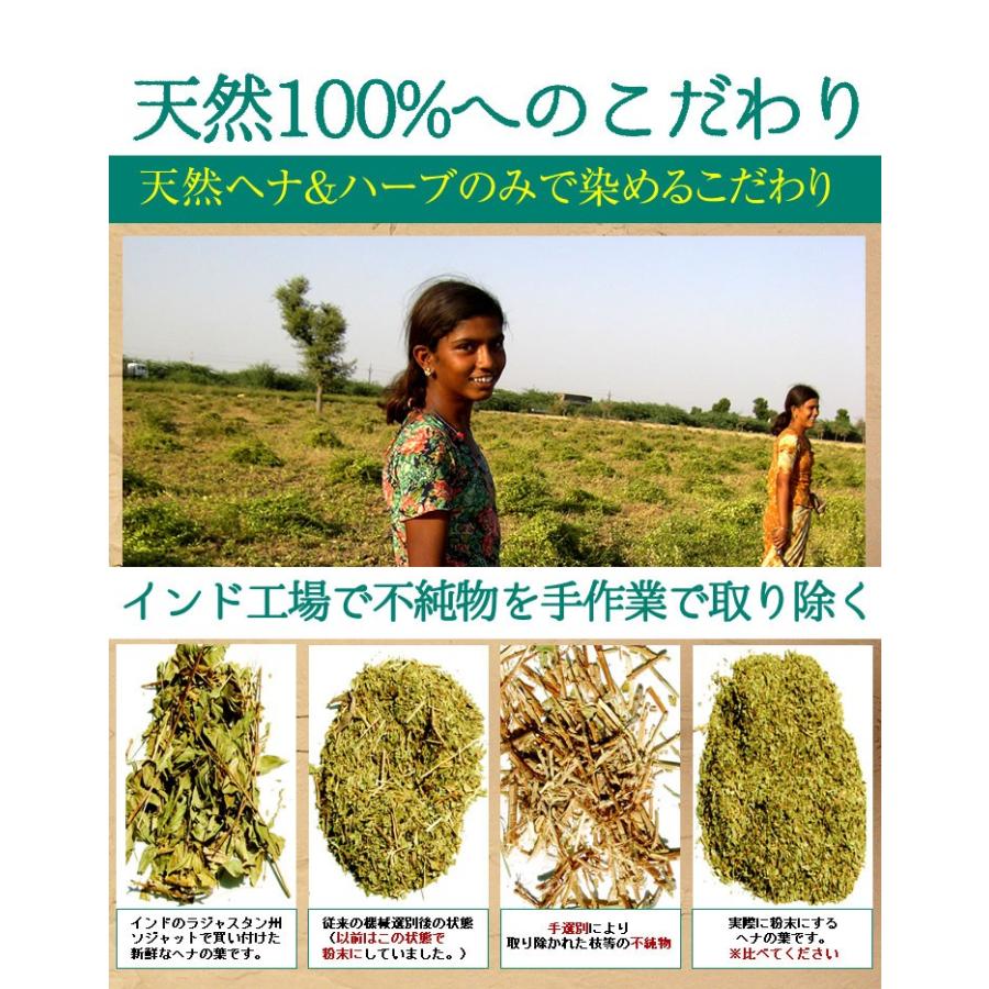 ヘナ 白髪染め 男性用 女性用 男女兼用 送料無料 お好きなエムズヘナ