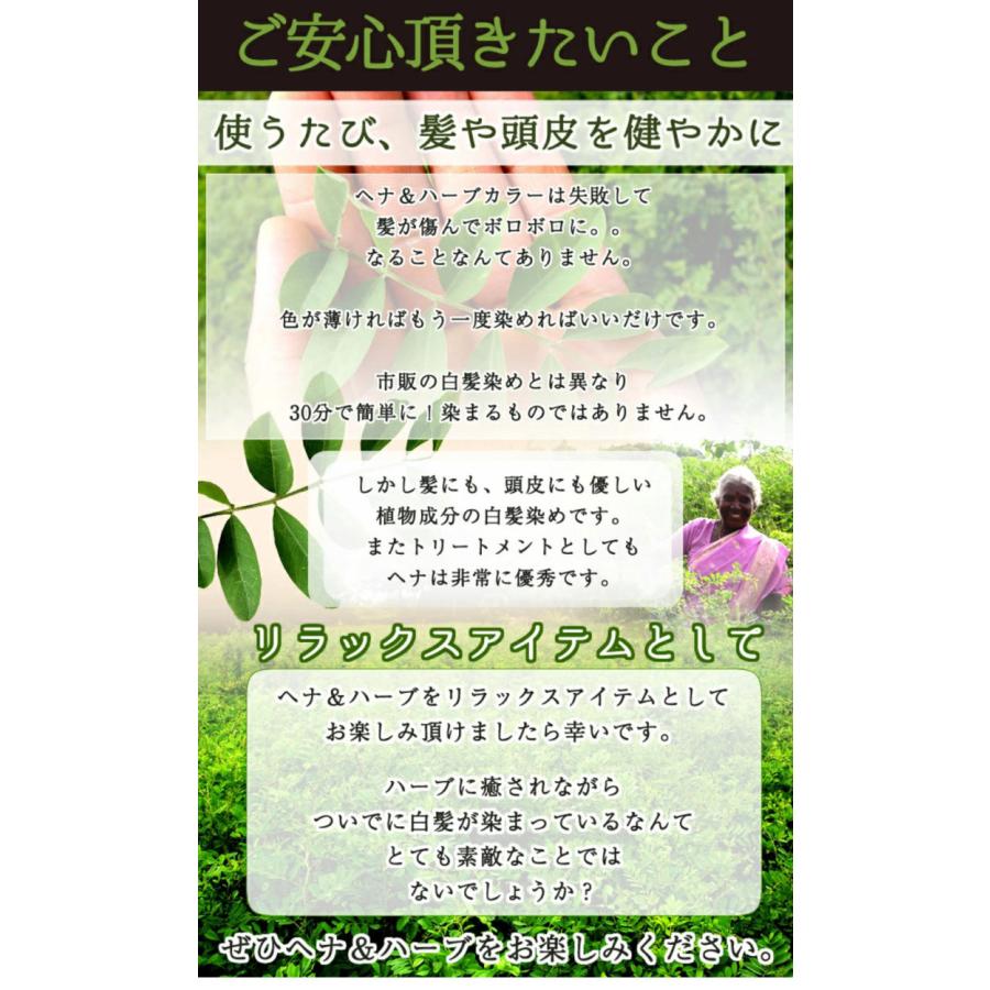 白髪染め 天然ヘナ ハーブ100g×5袋(500g)エムズハーブお得な5個セット