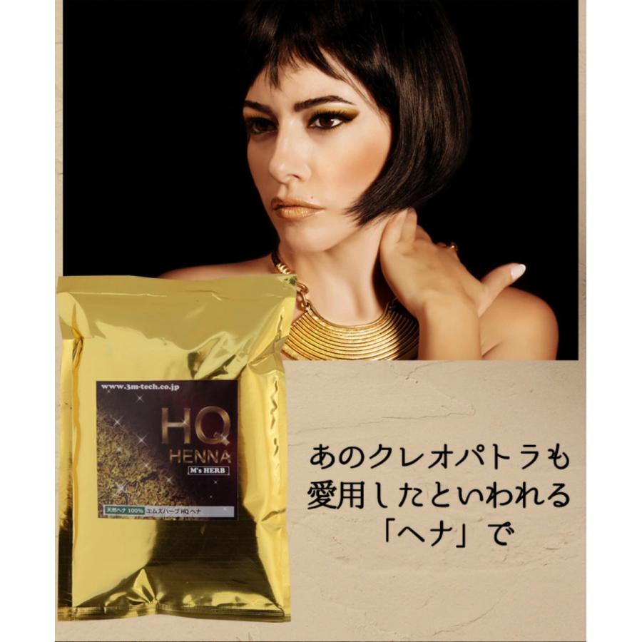 アリス☆エムズハーブ ヘナ カラー 白髪染め 天然100％ ナチュラルヘナ 白髪染め 天然ヘナ ハーブ100g×5袋(500g)エムズハーブお得な5個セット