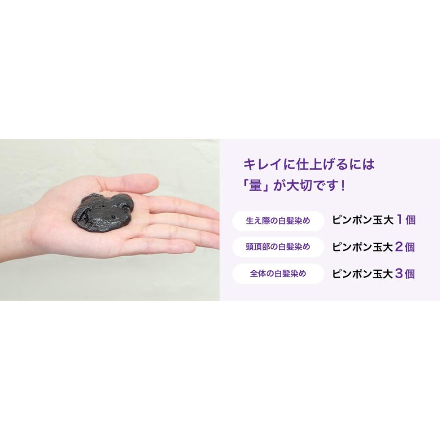 ヘアカラートリートメント 【送料無料】エムズハーブ カラー