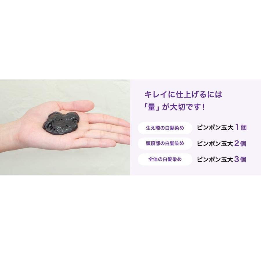 エムズハーブ カラートリートメント 彩-sai- トライアル20g×4包 ダーク