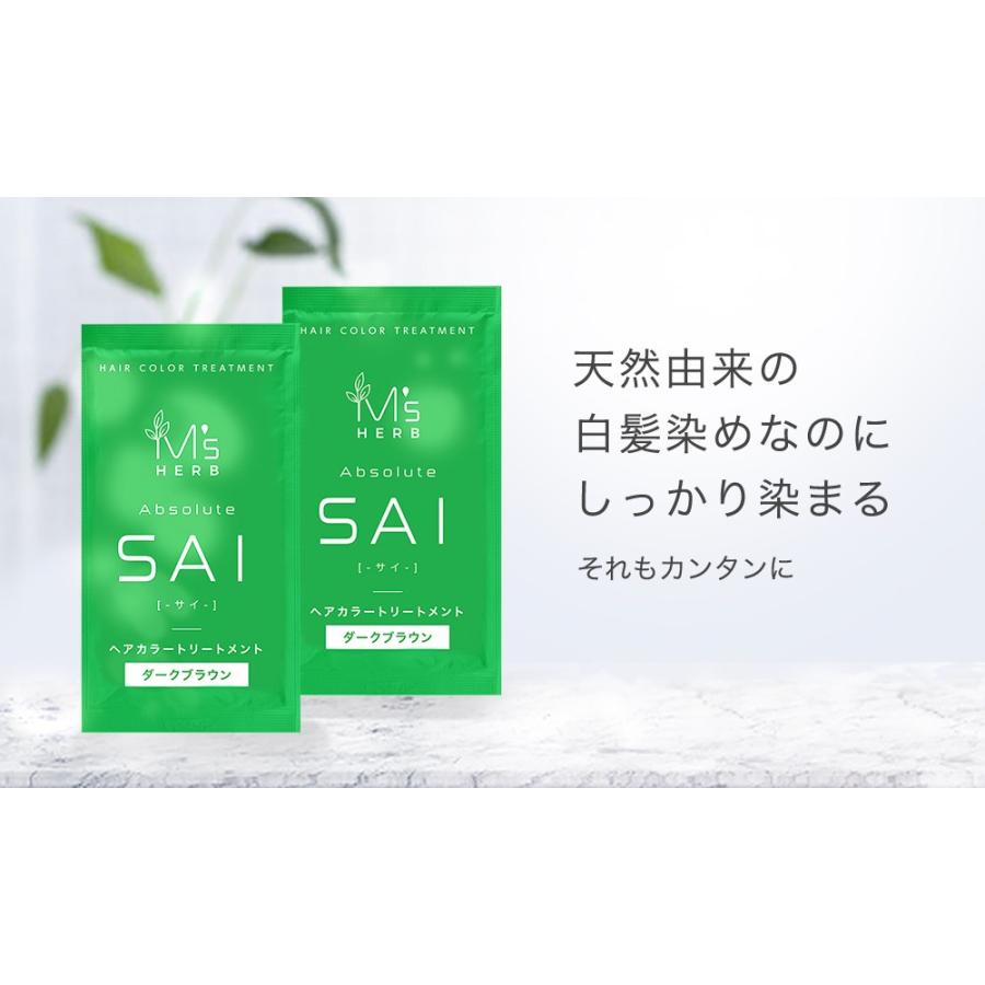 エムズハーブ カラートリートメント 彩-sai- トライアル20g×4包 ダーク