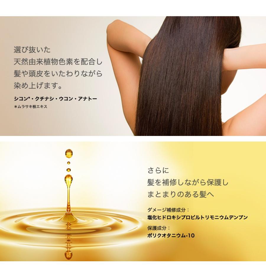 エムズハーブ カラートリートメント 彩-sai- トライアル20g×4包 ダーク