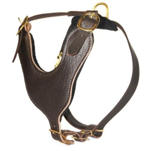 最高級品 ディーン タイラー革製犬用ベーシックハーネス ハンドル付き 真鍮製ハードウェア ラージ ブラウン 受注生産可能 Aego Co Rs