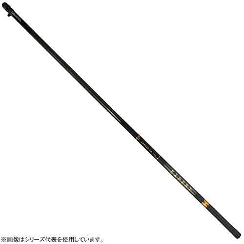本格派ま エキスパート本流 R 渓流竿 ダイワ Daiwa ダイワ Daiwa P 6 釣り竿 95m R ロッド 釣り竿 Www Pauksciukaimas Lt